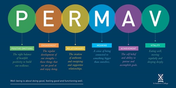PERMA-V Framework