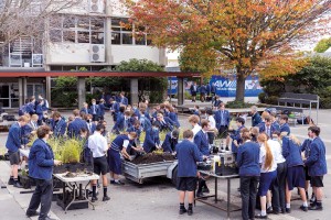 A large group of students are outside in the Quad as they re-pot plants which are set up at stations across four tables.