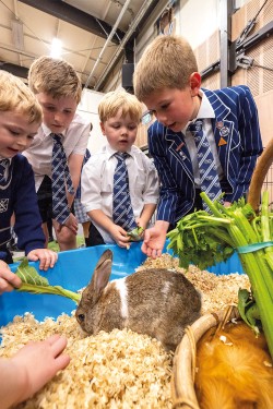 Preparatory School students feeding a bunny at the 2023 Ag Show.