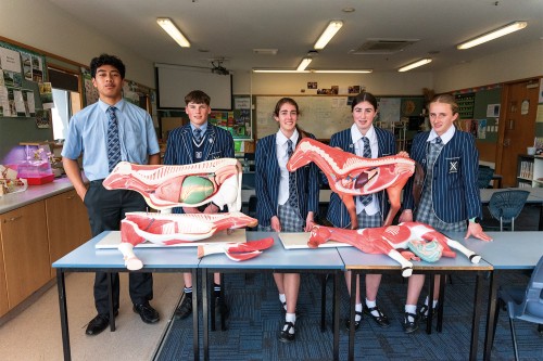 Year 9 Agriculture students Jairo Senio,  Cameron Sharpe, Charlotte Bax,  Sophie Paterson, and Sophie Lampe.
