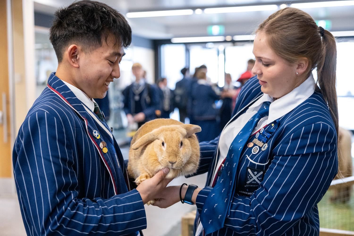 Two St Andrew's College students petting a rabbit at the 2025 StAC Ag Show.