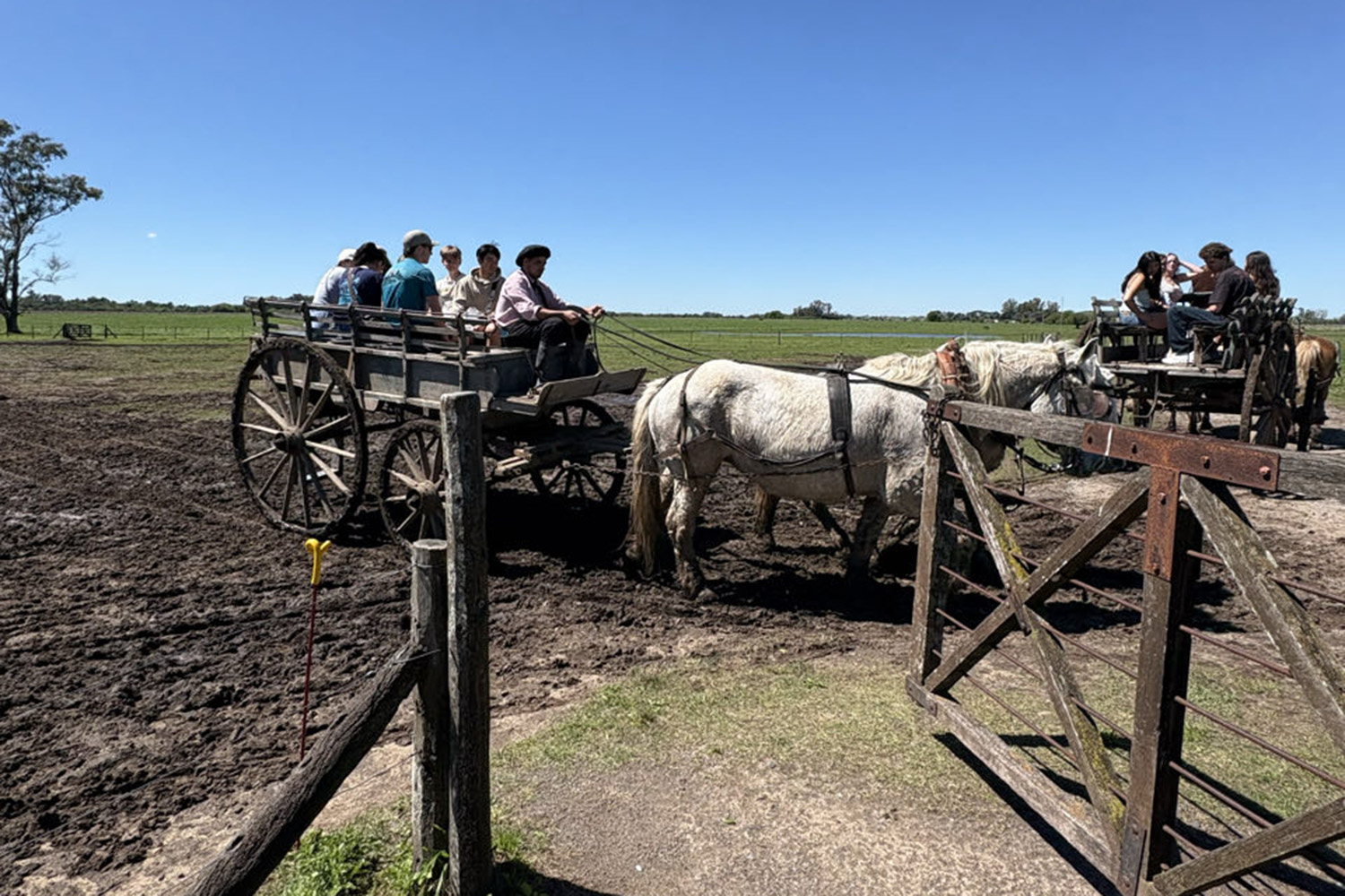 St Andrew's College students riding a horse at a ranch in Buenos Aires, Argentina.
