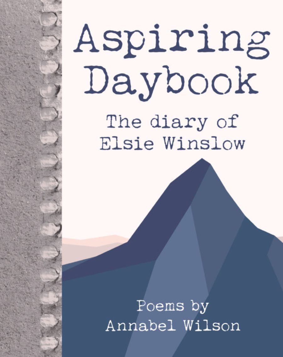Boof cover of Aspiring Daybook: The Diary of Elsie Winslow