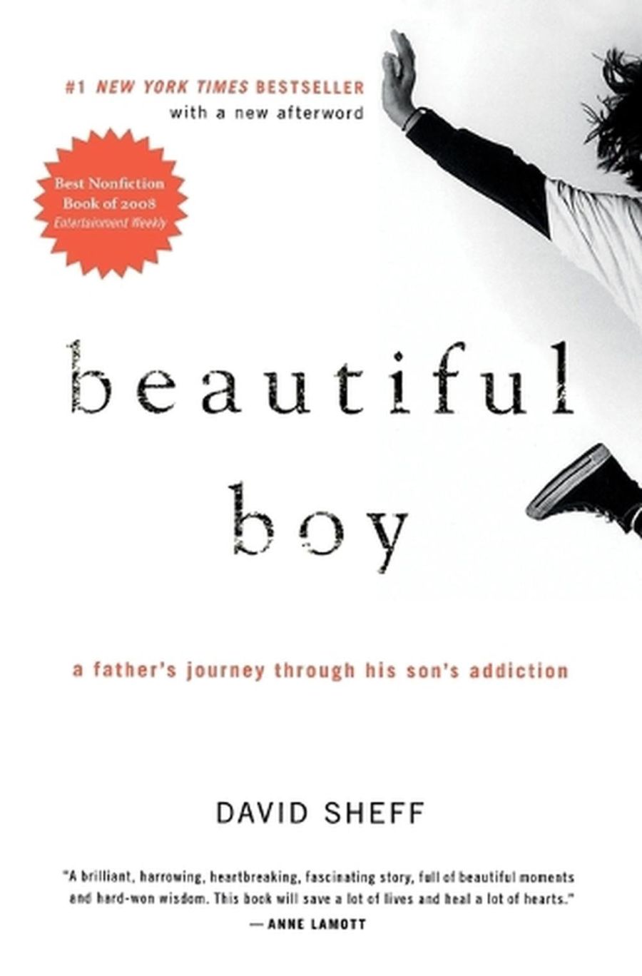 Book cover of Beautiful Boy