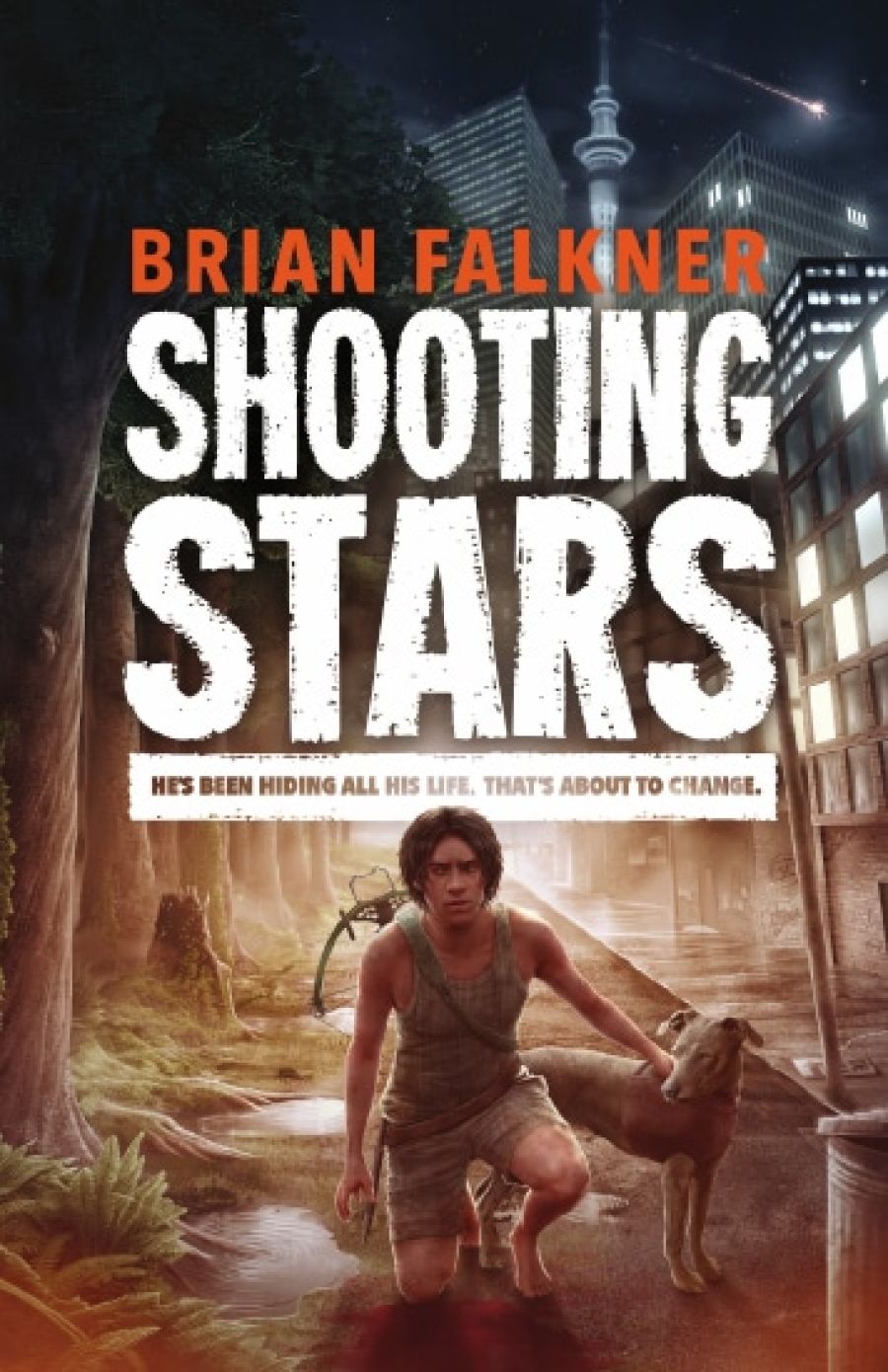 Book cover of Shooting Stars