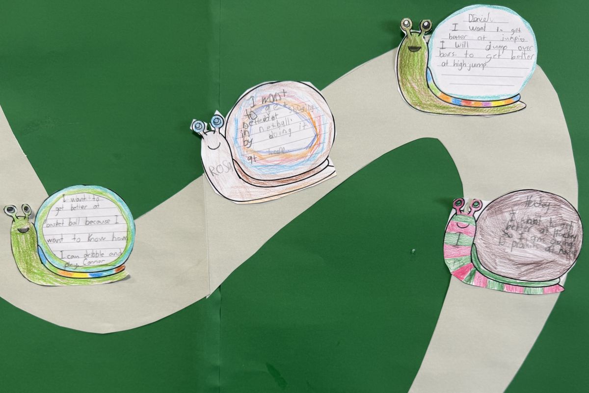 Goals written by St Andrew's College Preparatory School students