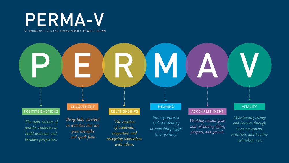 PERMA-V poster