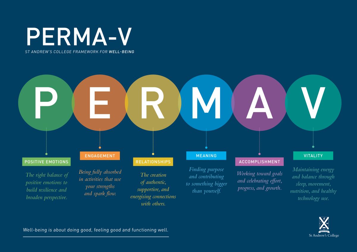 PERMA-V poster.