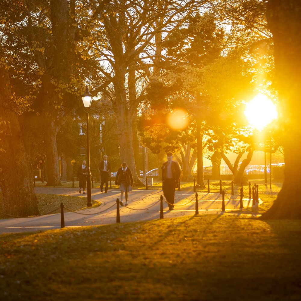 Students walking up the driveway with autumn sun glow