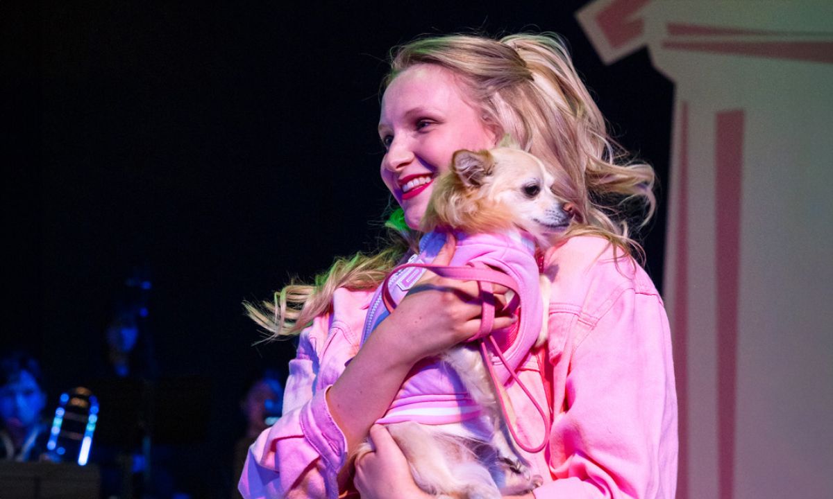 Senior College Production, Legally Blonde.