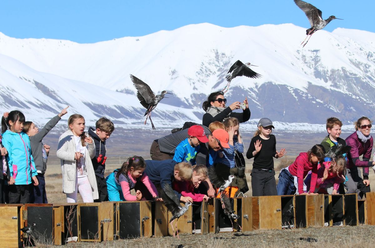 Preparatory School trip to Mt Gerald Station to release kaki/black stilts into the wild.