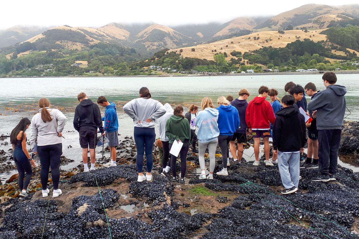 Biology field trip to Birdlings Flat.