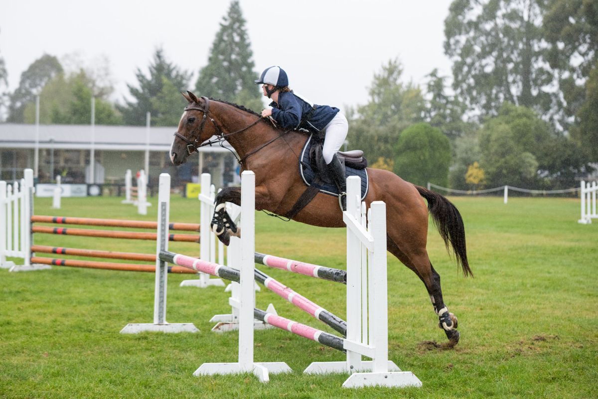Canterbury showjumping.