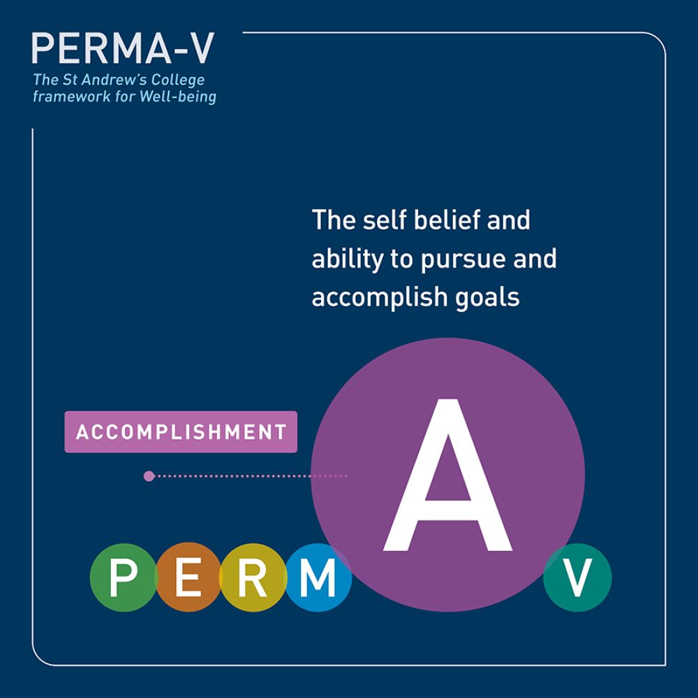 PERMA-V framework - accomplishment.