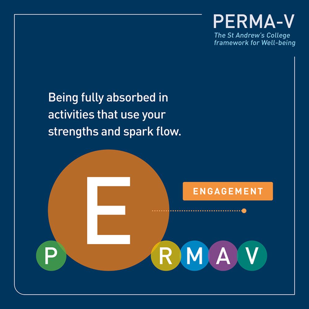 PERMA-V framework - engagement.
