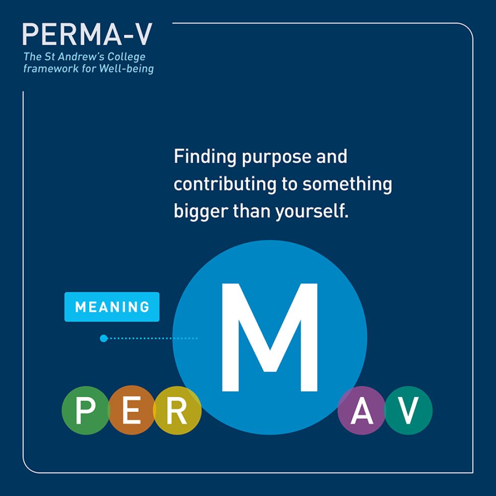 PERMA-V framework - meaning.