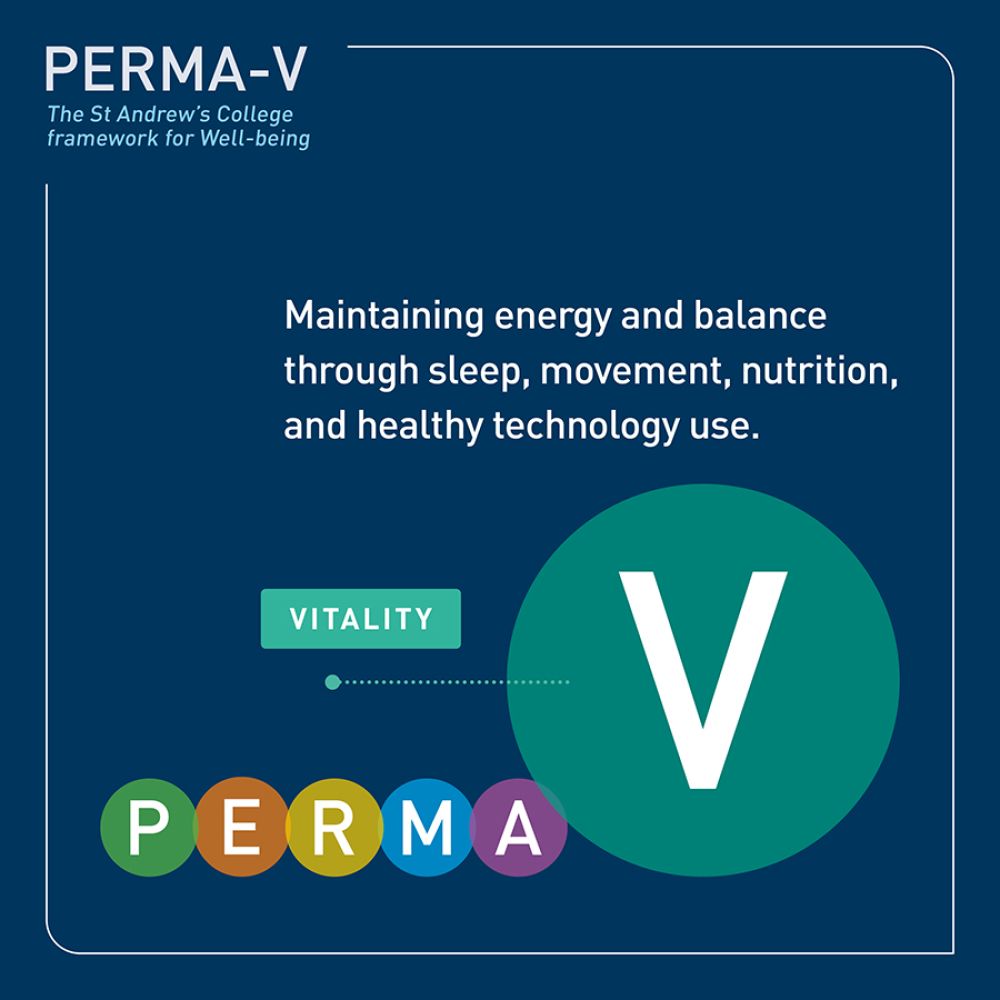 PERMA-V framework - vitality.