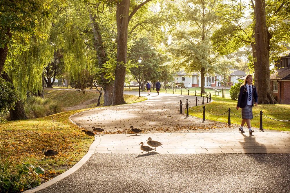 St Andrew's College driveway