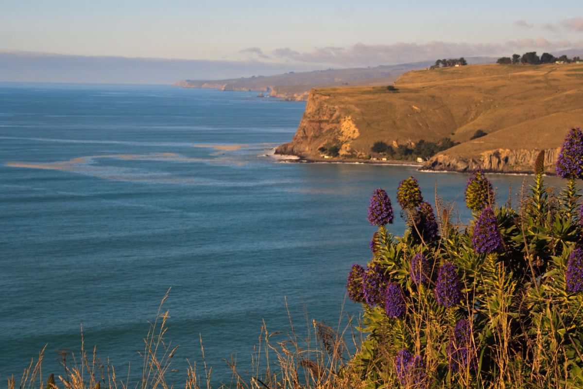 Sunset over Godley Head