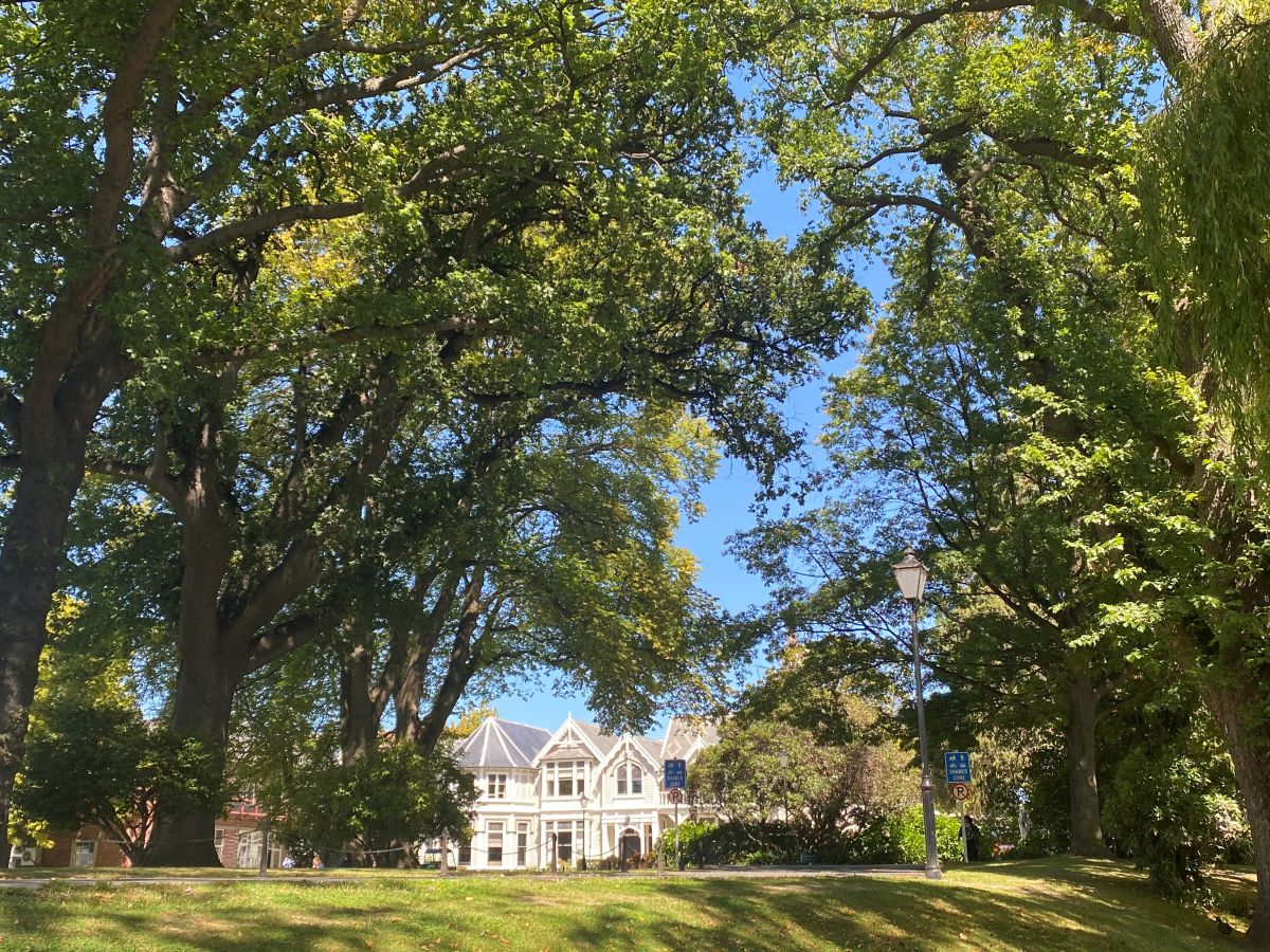 Strowan house on a sunny day